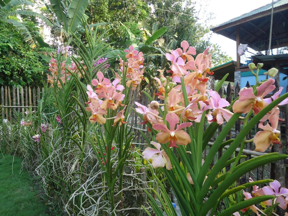 Lhoyjean Garden Hostel Batuan Ngoại thất bức ảnh