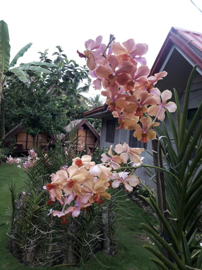 Lhoyjean Garden Hostel Batuan Ngoại thất bức ảnh